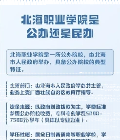 实训