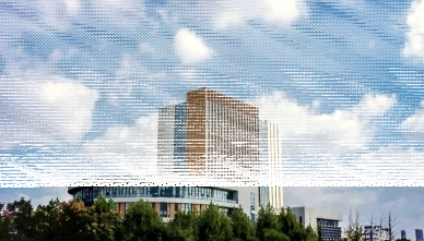 学校