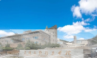 教学成果