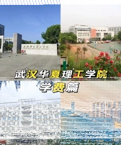 学校