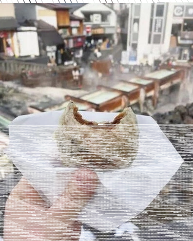 旅行青蛙图鉴