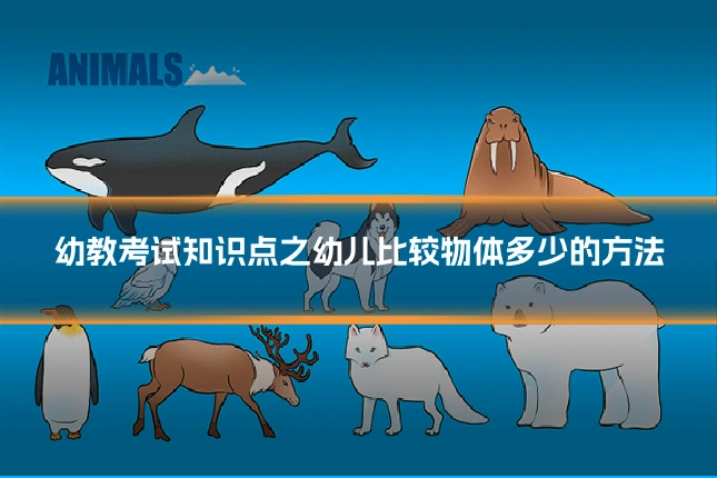 幼教考试知识点之幼儿比较物体多少的方法