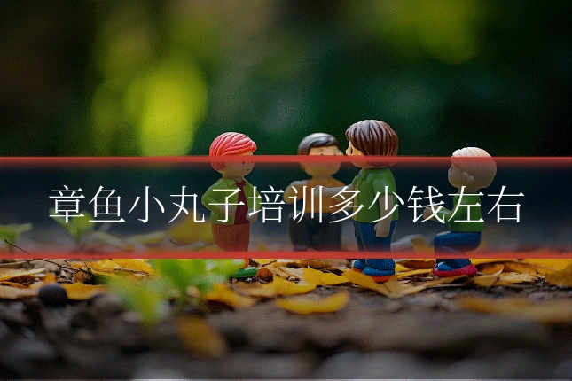章鱼小丸子培训多少钱左右