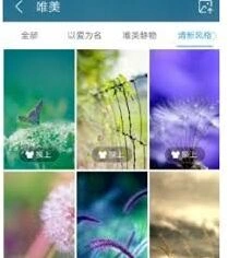 UC浏览器更换皮肤全指南