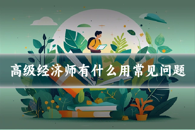高级经济师有什么用常见问题