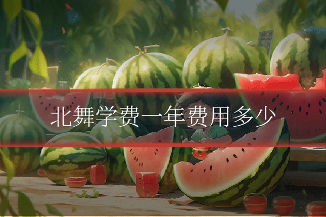 北舞学费一年费用多少