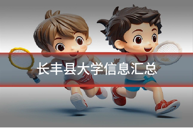 长丰县大学信息汇总