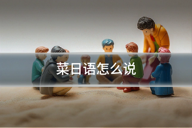 菜日语怎么说