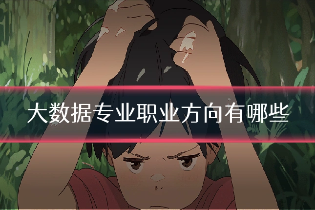 大数据专业职业方向有哪些
