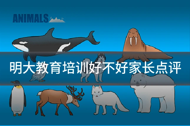 明大教育培训好不好家长点评