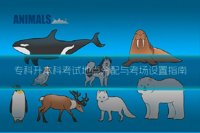 专科升本科考试地点分配与考场设置指南