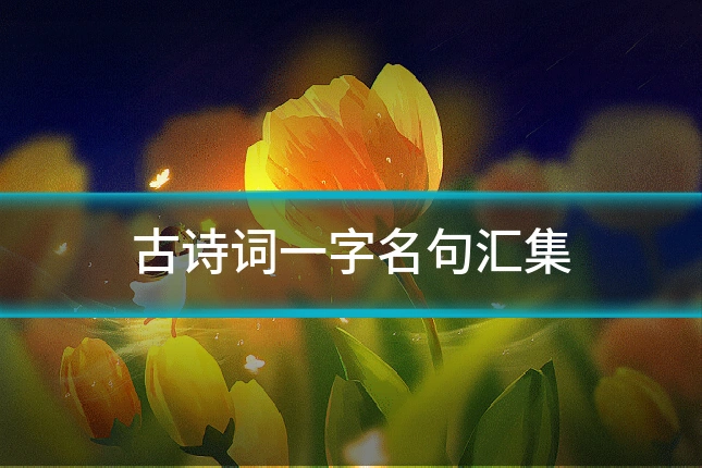 古诗词一字名句汇集