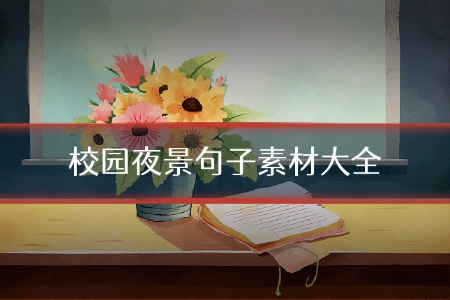 校园夜景句子素材大全