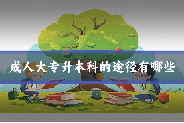 成人大专升本科的途径有哪些