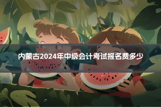 内蒙古2024年中级会计考试报名费多少