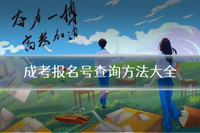 成考报名号查询方法大全