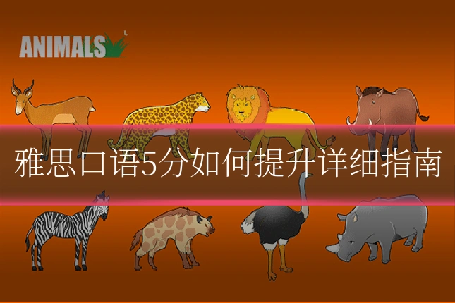 雅思口语5分如何提升详细指南