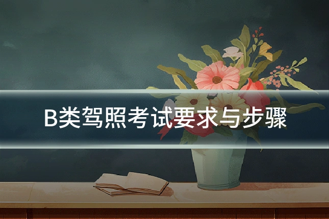 B类驾照考试要求与步骤