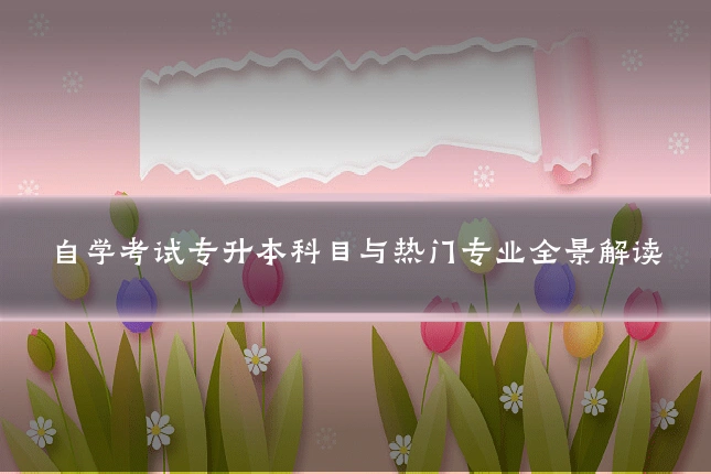 自学考试专升本科目与热门专业全景解读