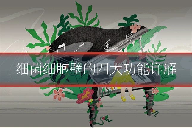 细菌细胞壁的四大功能详解