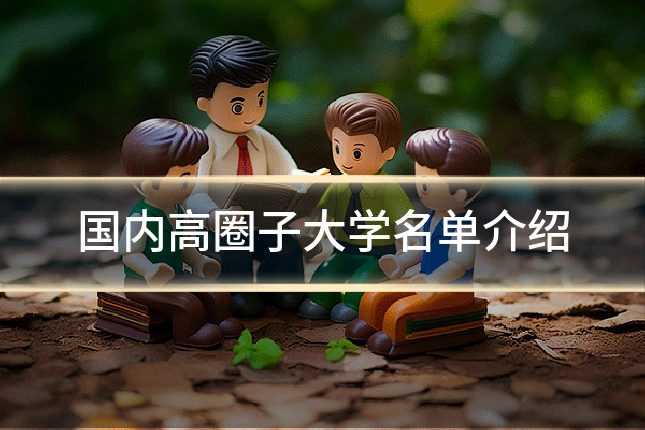 国内高圈子大学名单介绍