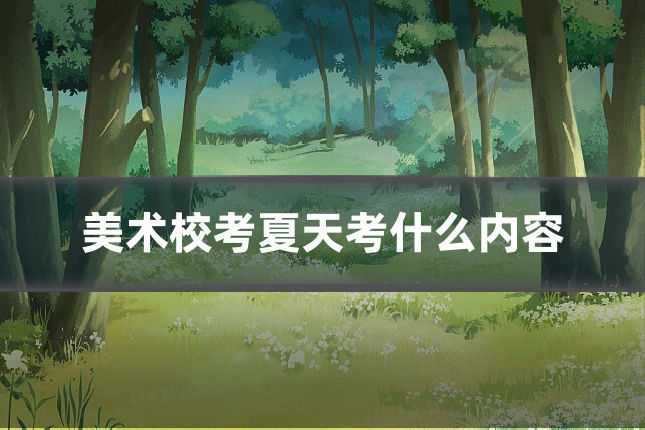 美术校考夏天考什么内容
