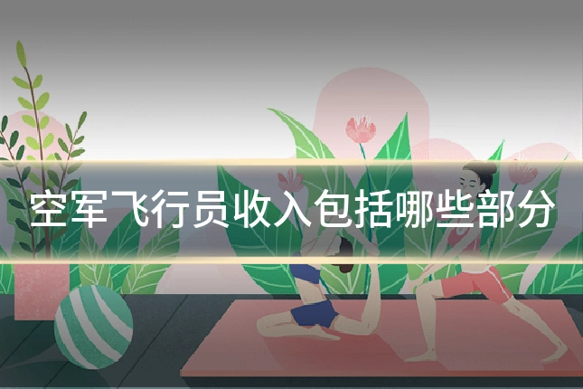 空军飞行员收入包括哪些部分
