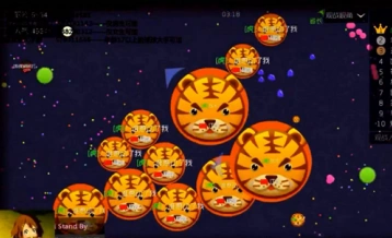 球球大作战橡木假面永久孢子详解