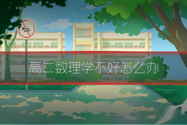 高二数理学不好怎么办