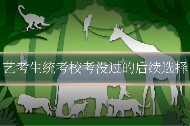 艺考生统考校考没过的后续选择
