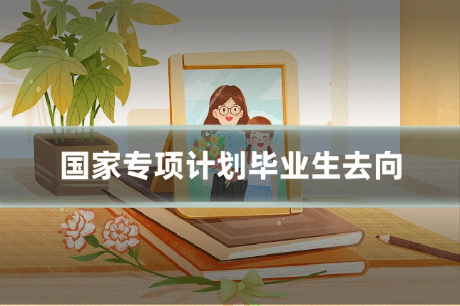 国家专项计划毕业生去向