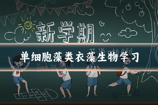 单细胞藻类衣藻生物学习