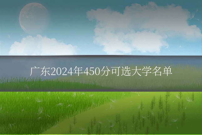 广东2024年450分可选大学名单