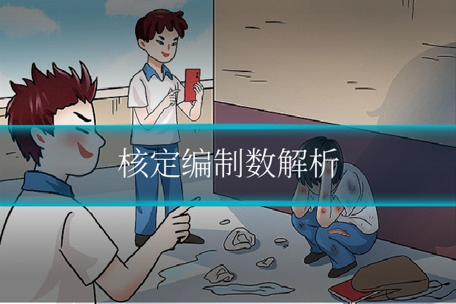 核定编制数解析