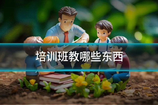 培训班教哪些东西