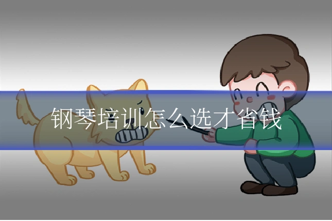 钢琴培训怎么选才省钱