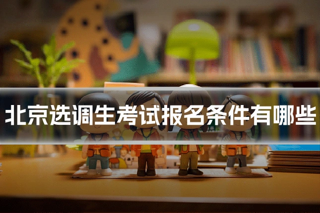 北京选调生考试报名条件有哪些