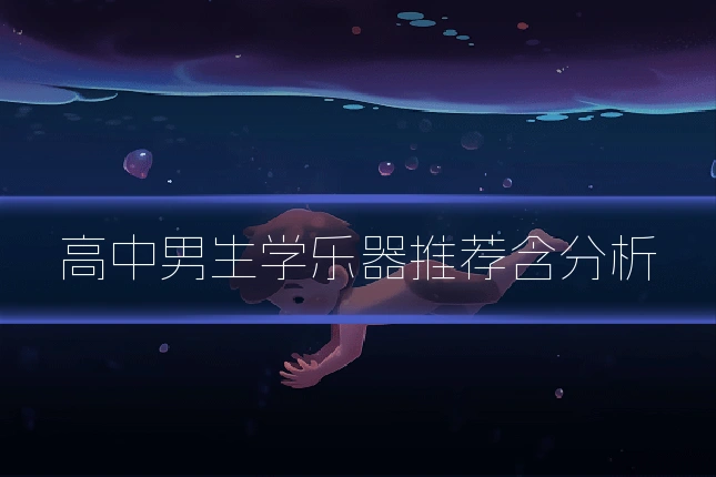 高中男生学乐器推荐含分析