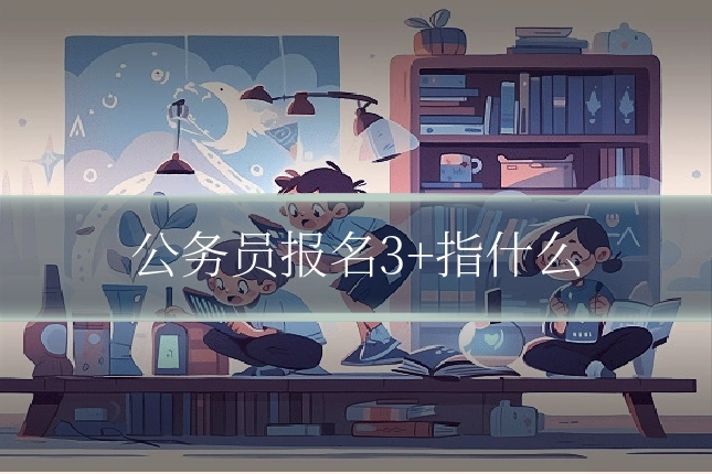 公务员报名3+指什么