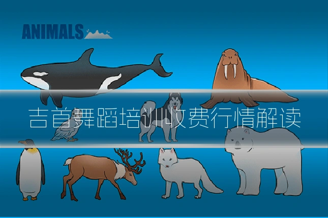 吉首舞蹈培训收费行情解读