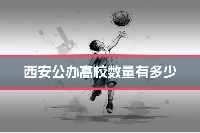 西安公办高校数量有多少