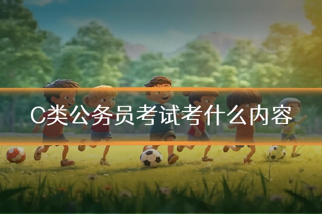 C类公务员考试考什么内容