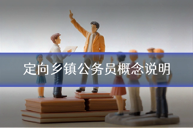 定向乡镇公务员概念说明