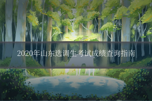 2020年山东选调生考试成绩查询指南