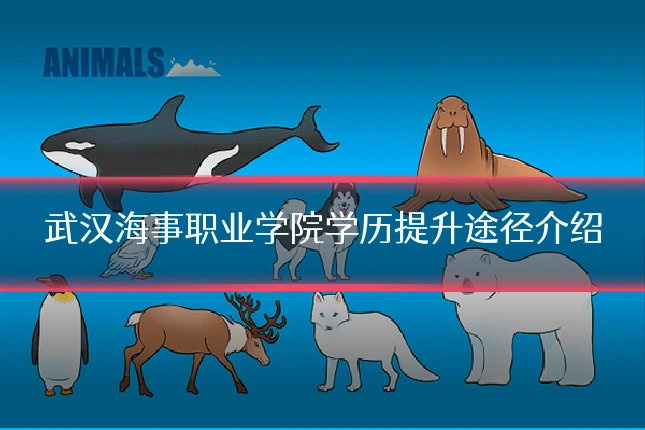 武汉海事职业学院学历提升途径介绍