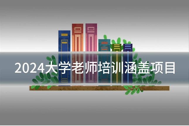2024大学老师培训涵盖项目