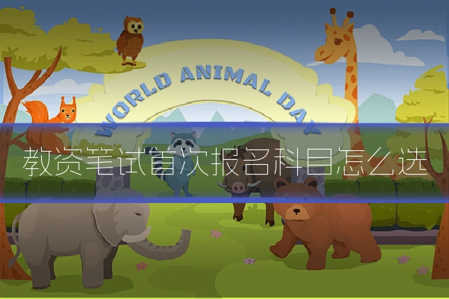 教资笔试首次报名科目怎么选