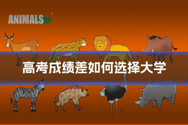 高考成绩差如何选择大学