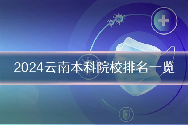 2024云南本科院校排名一览