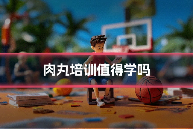 肉丸培训值得学吗